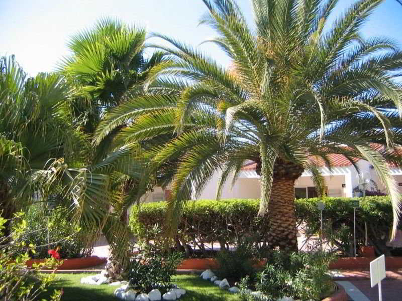 Parque Paraiso I Playa del Ingles  Exterior photo